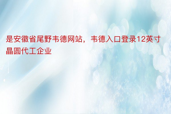是安徽省尾野韦德网站，韦德入口登录12英寸晶圆代工企业